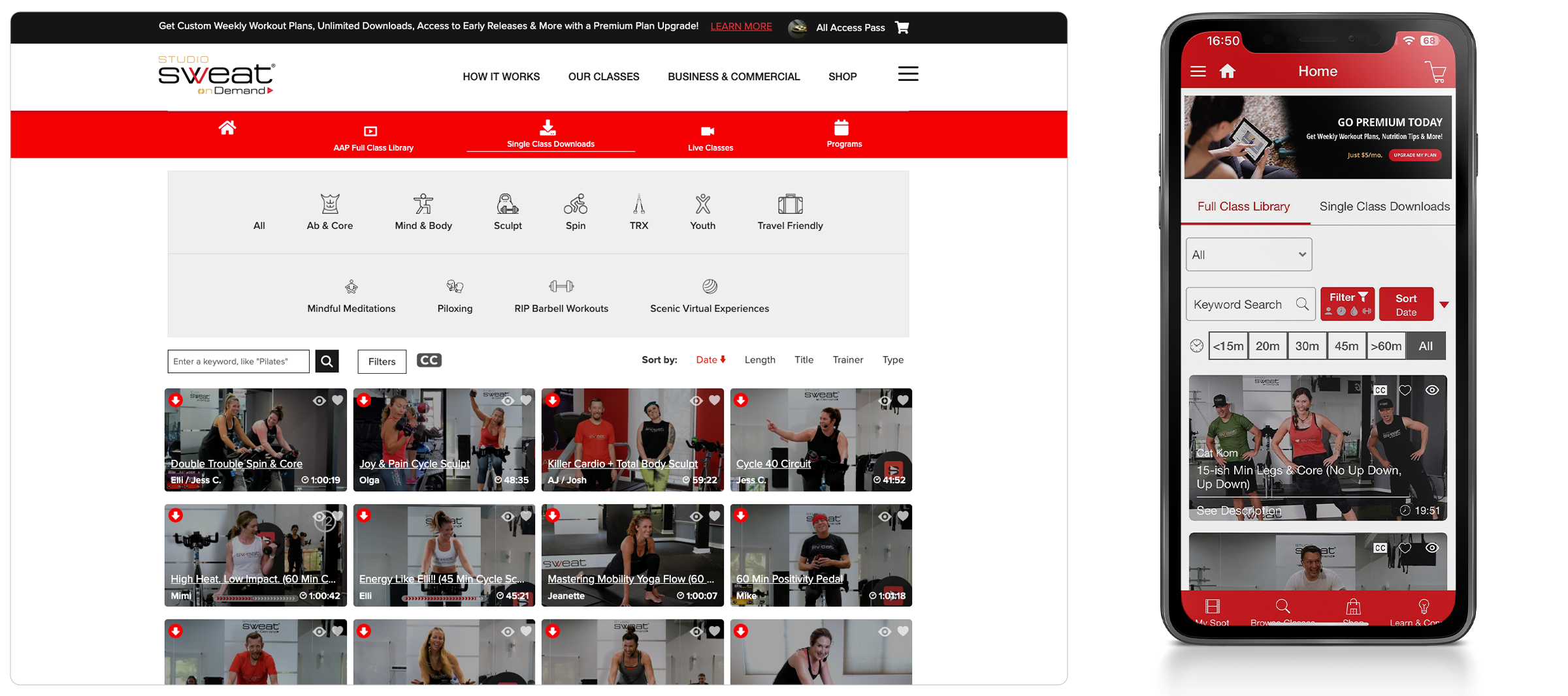 web-gfx-portfolio-2400x-SSOD-01 web gfx portfolio 2400x SSOD 01 1