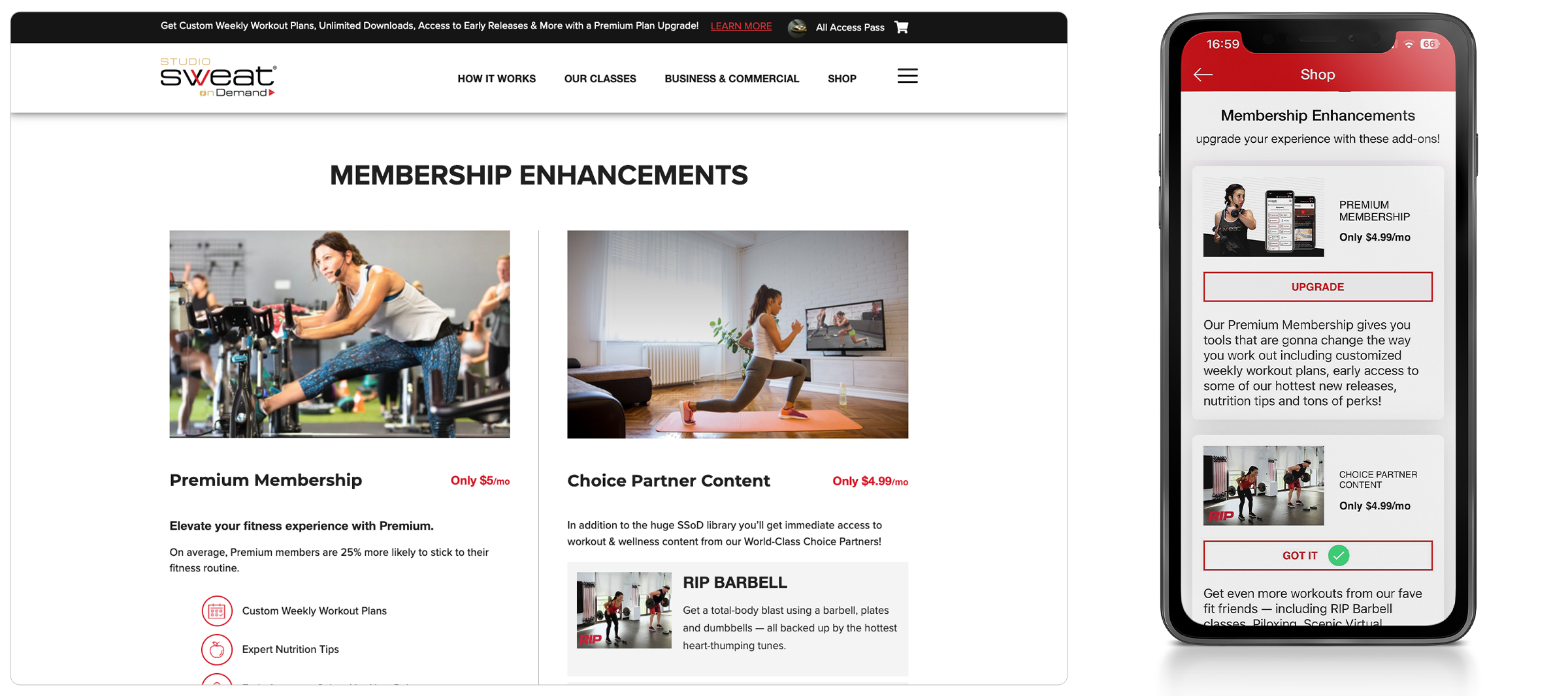 web-gfx-portfolio-2400x-SSOD-03 web gfx portfolio 2400x SSOD 03 1