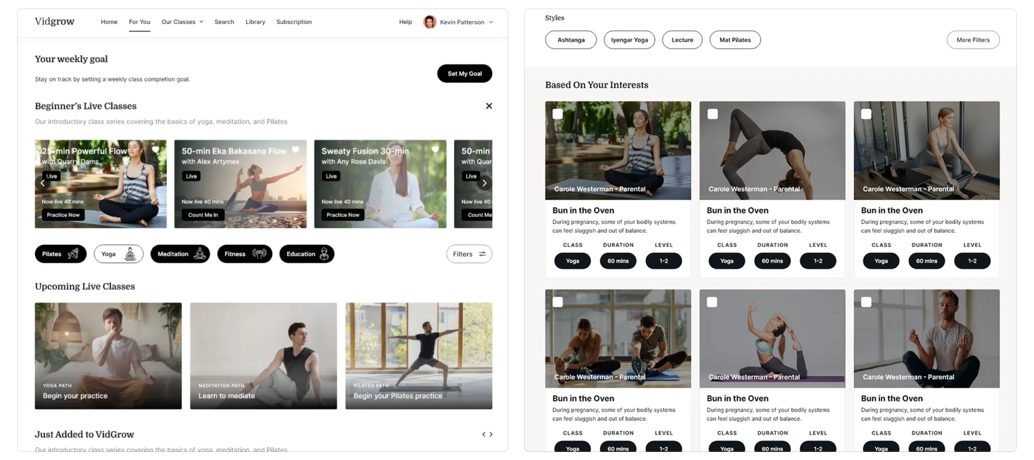Vidgrow forWordpress Slider jpg